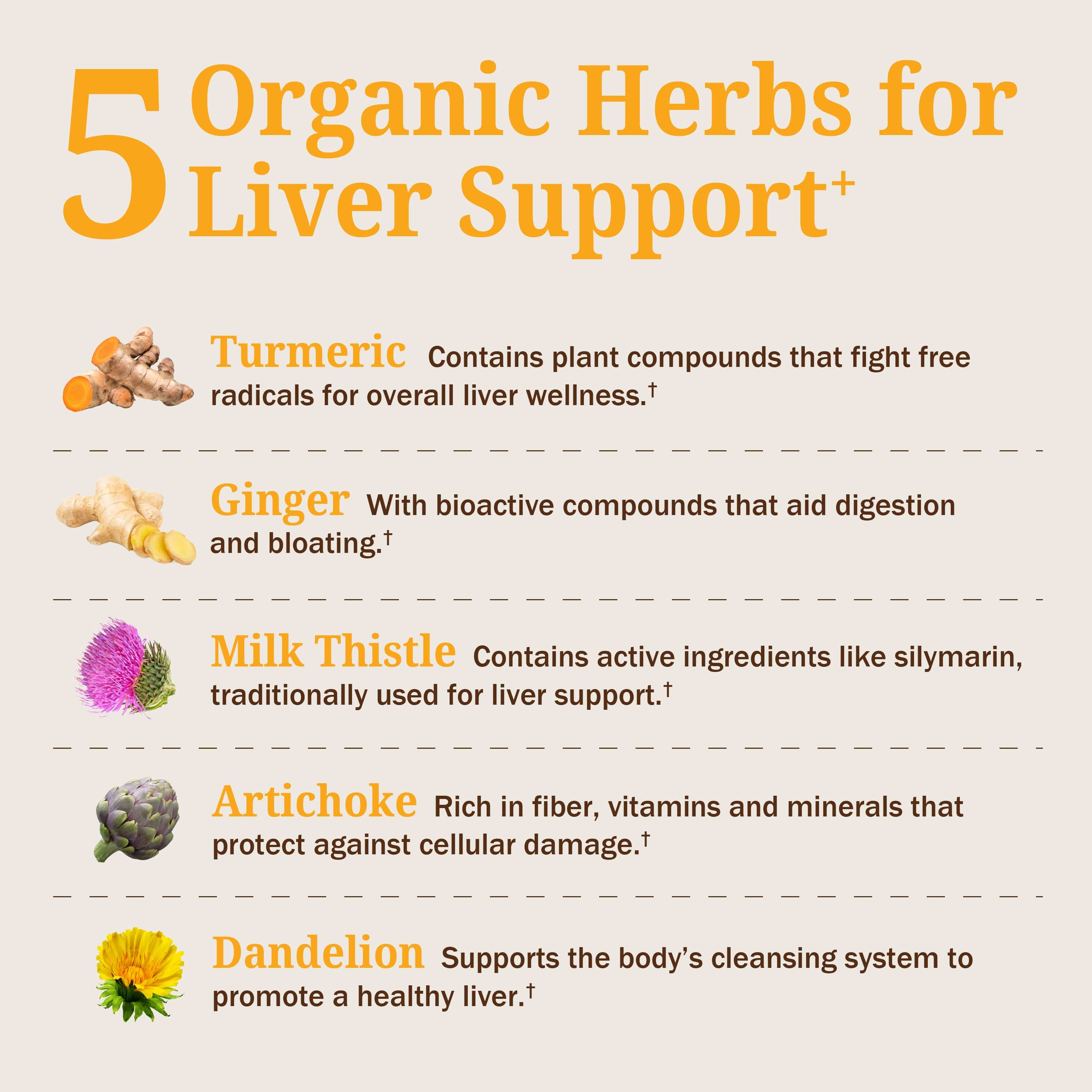 Cleanse Liver Health Support, 16 oz Bottle (3-Pack)