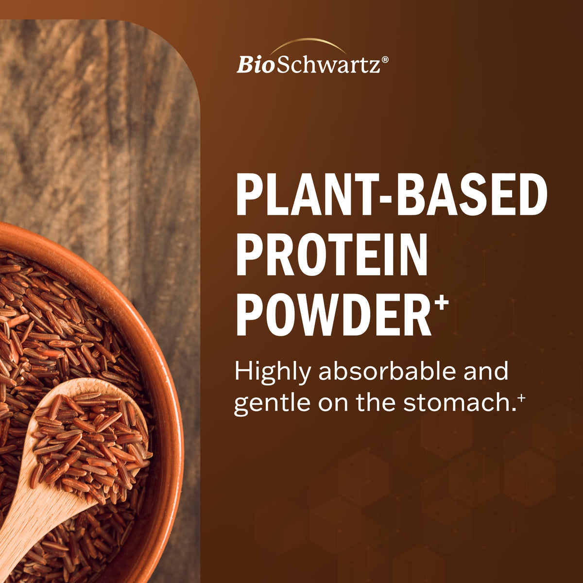 Bariatric Protein, Chocolate