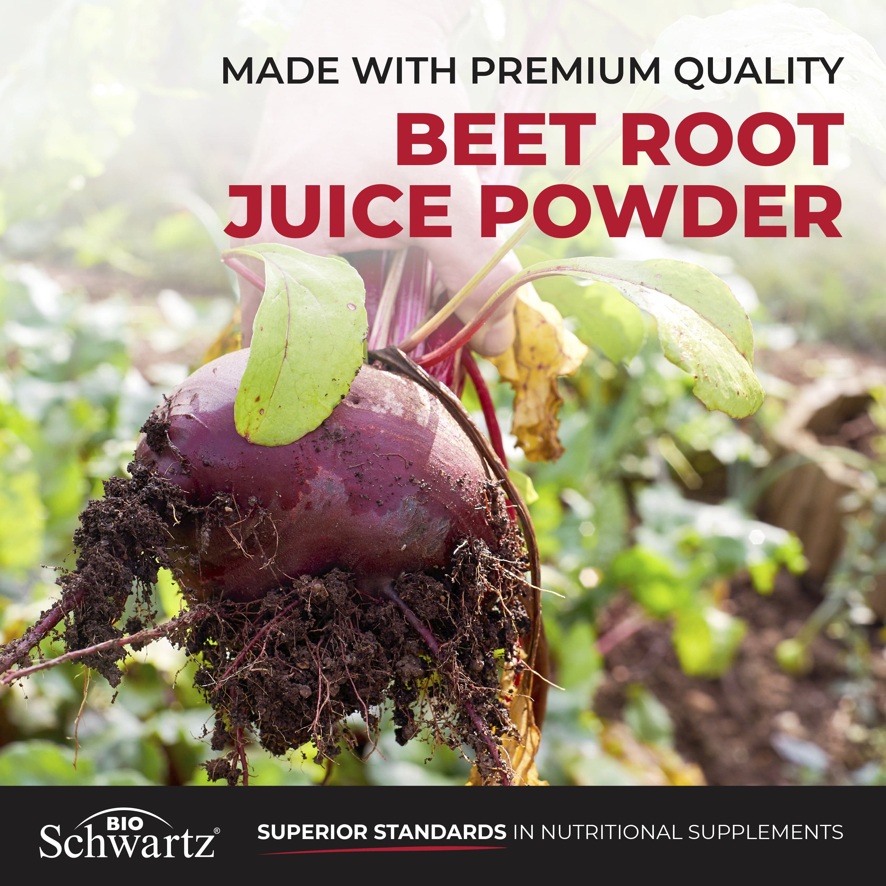 Sugar Free Beet Root Gummies, 60ct