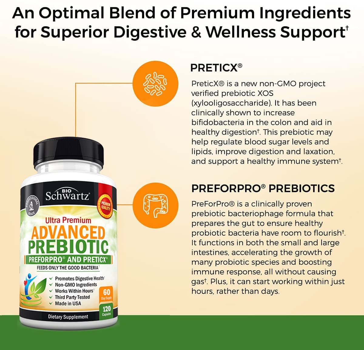 Advanced Prebiotic Capsules, 120ct