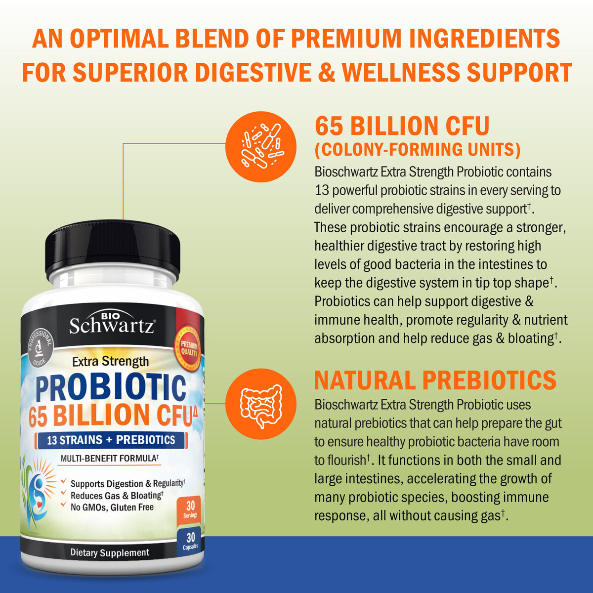 Probiotics 65 Billion CFU Capsules