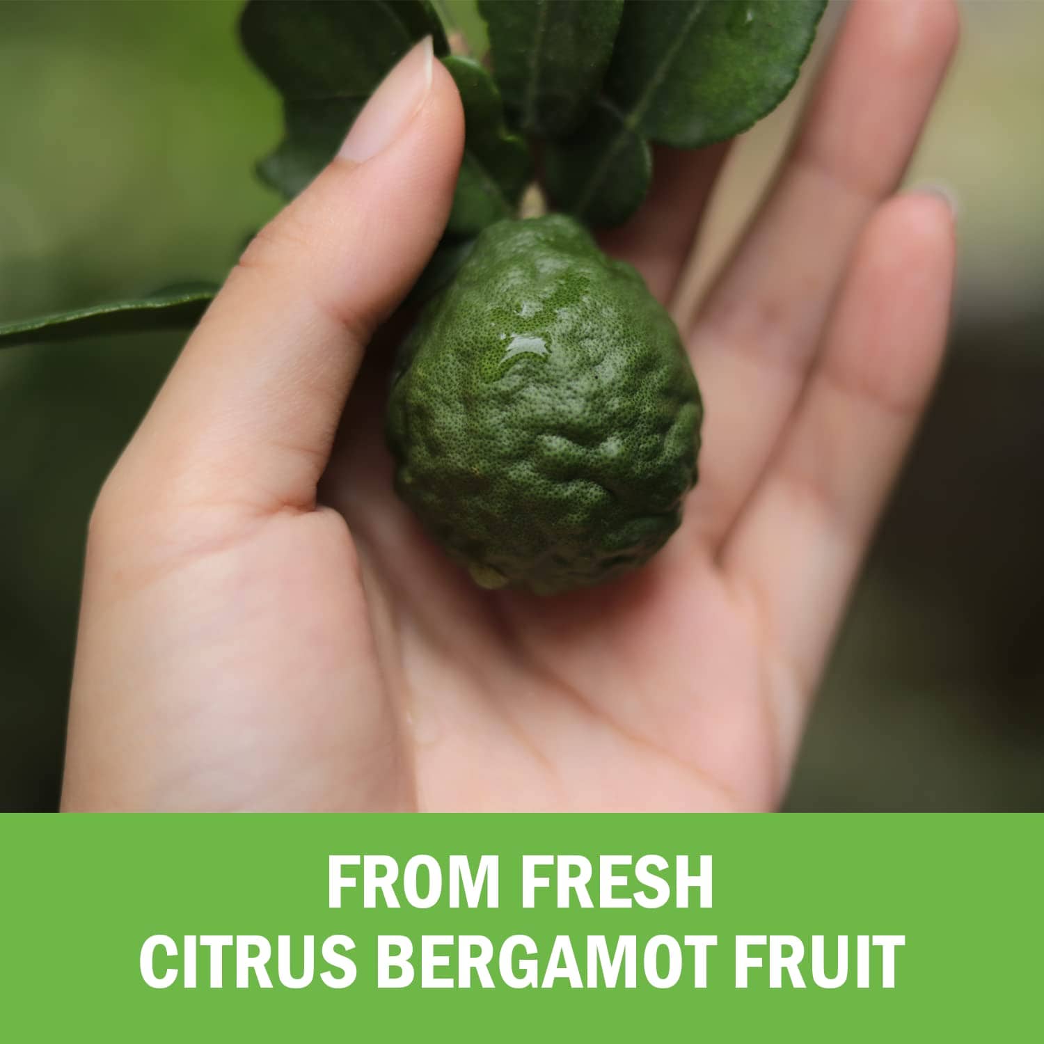 Citrus Bergamot, 120ct
