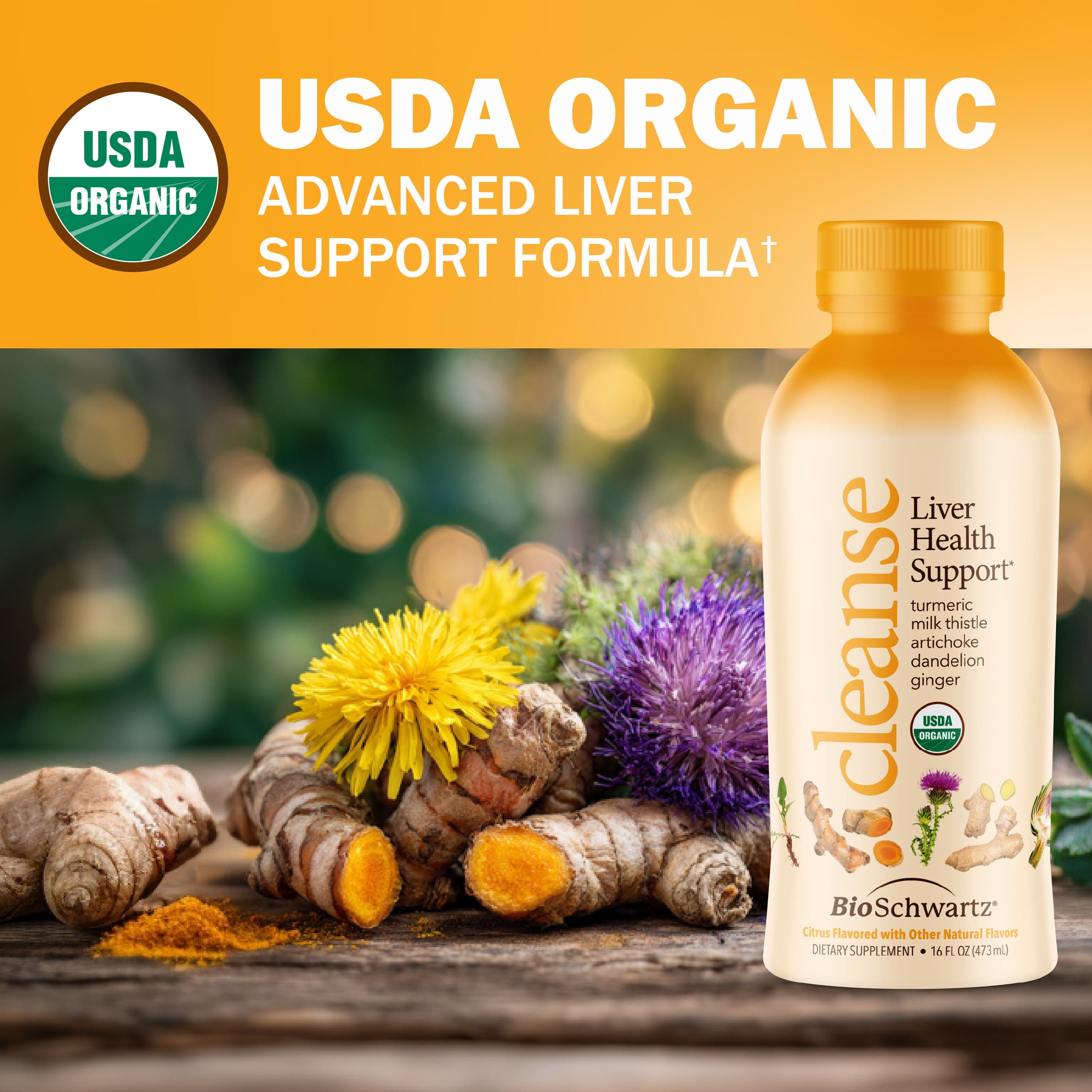 Cleanse Liver Health Support, 16 oz Bottle  (3-Pack)