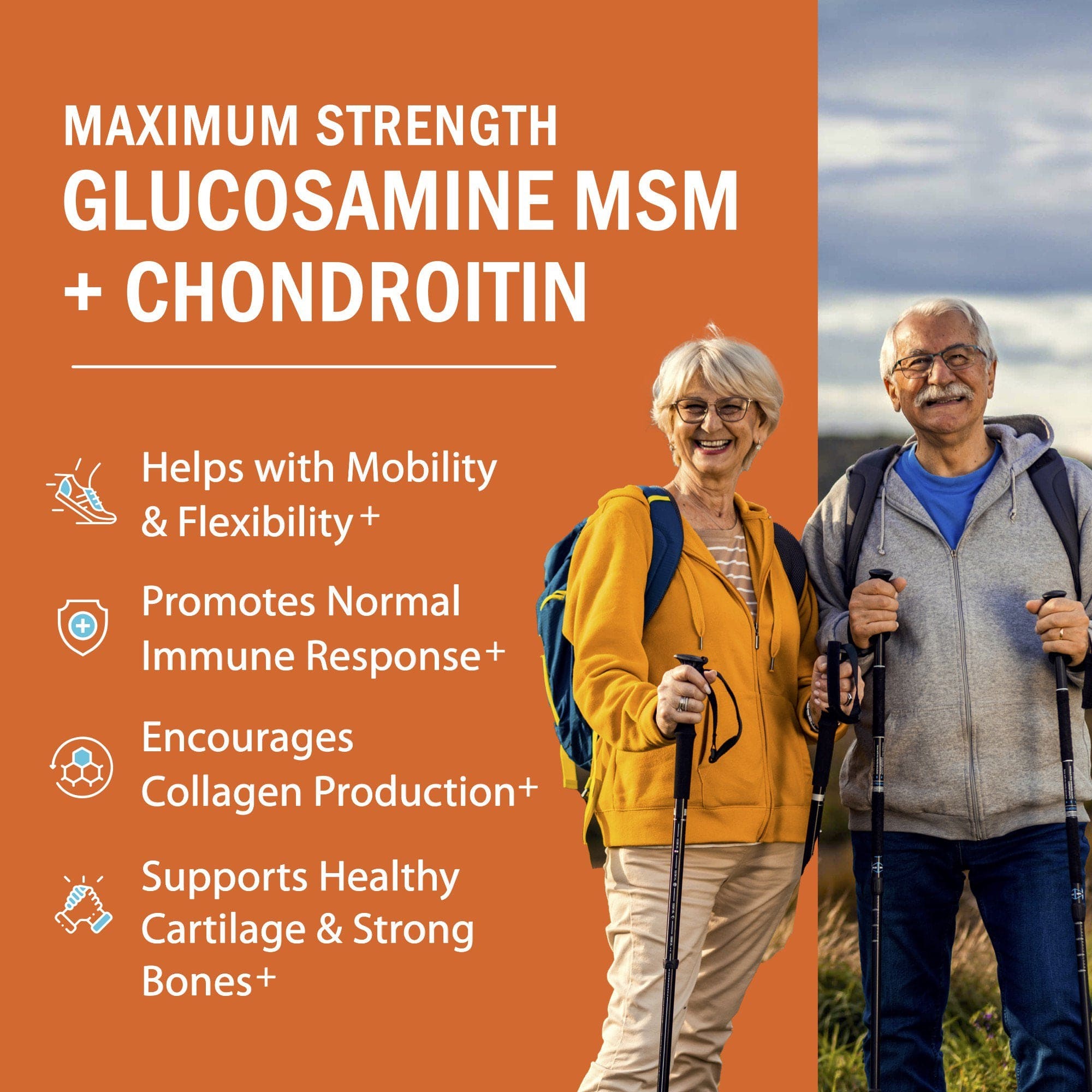 BioSchwartz Maximum Mobility Capsules | Glucosamine MSM + Chondroitin with Turmeric Curcumin | Flexibility + Comfort 90 Ct