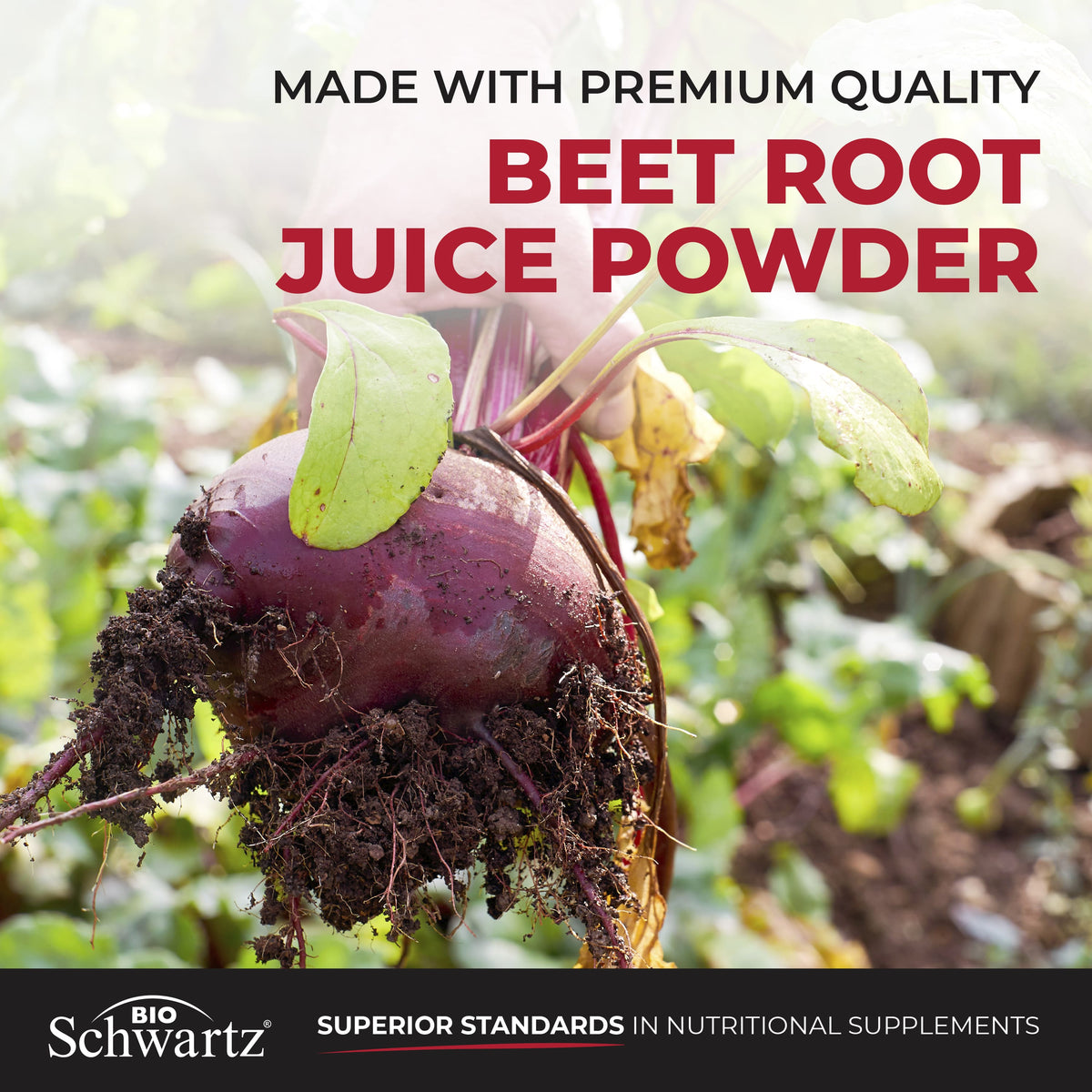 Sugar Free Beet Root Gummies