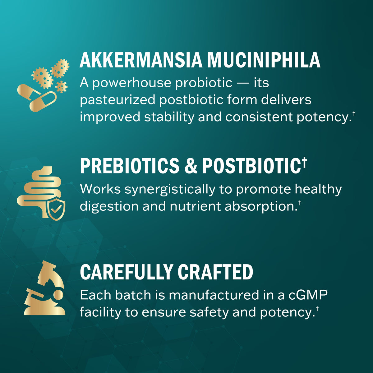 Akkermansia 1B Capsules