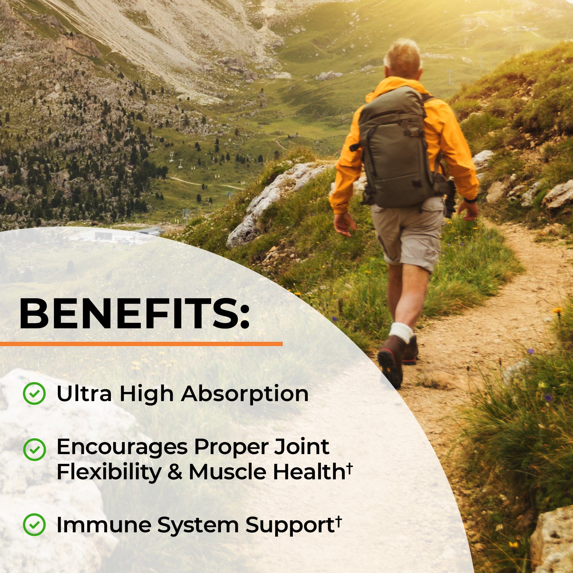 Turmeric Curcumin 1500mg Capsules, 90ct