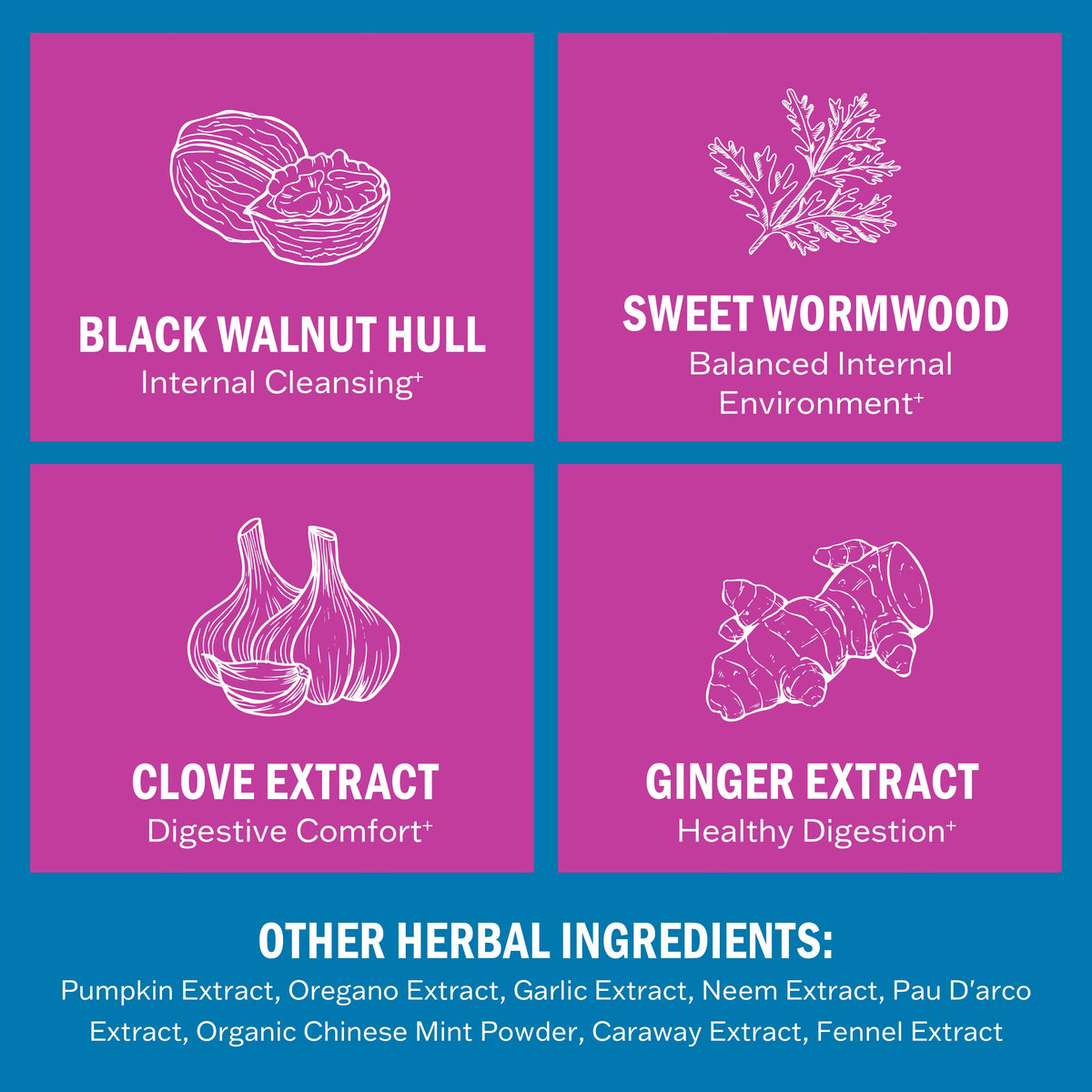 ParaCleanse Capsules