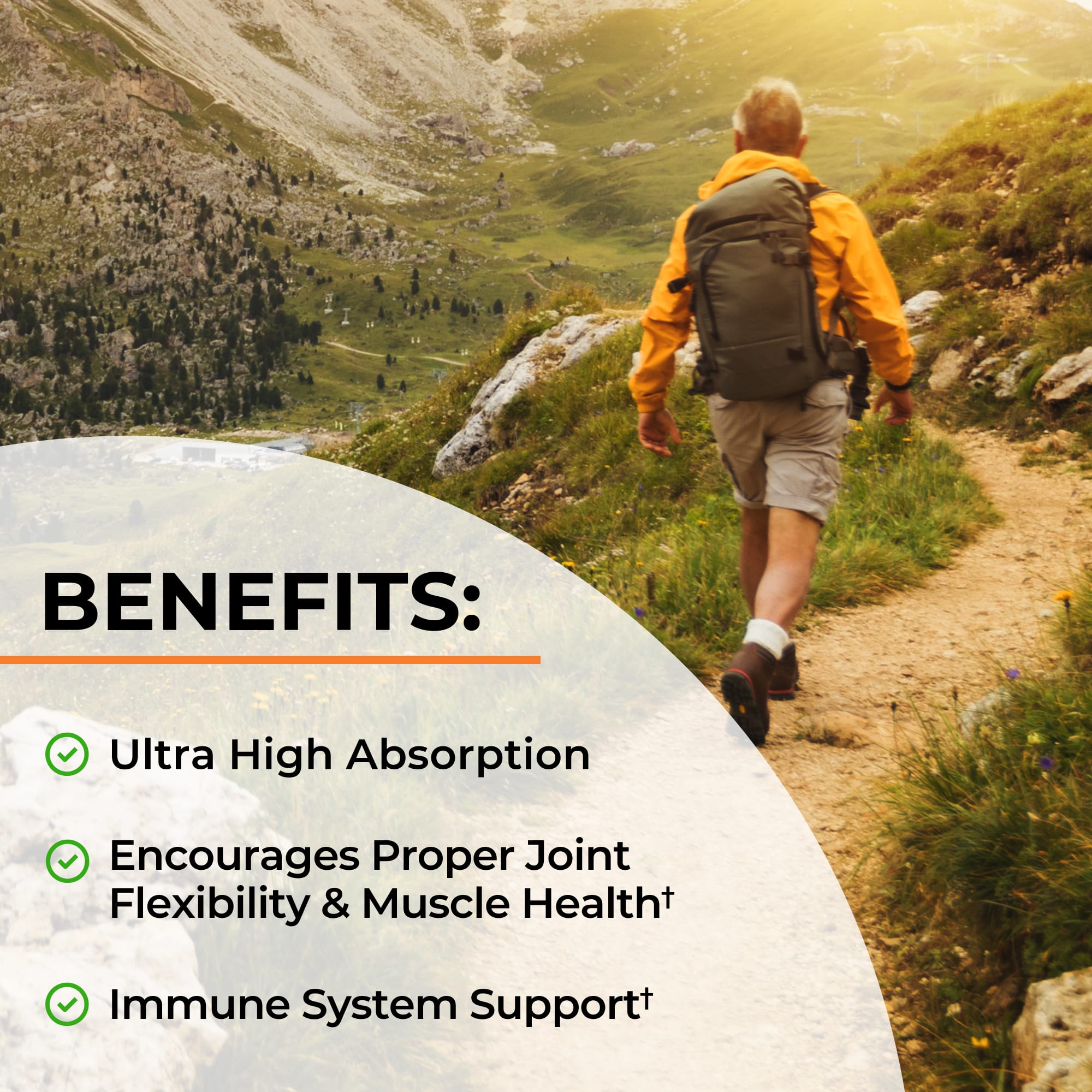 Turmeric Curcumin 1500mg Capsules