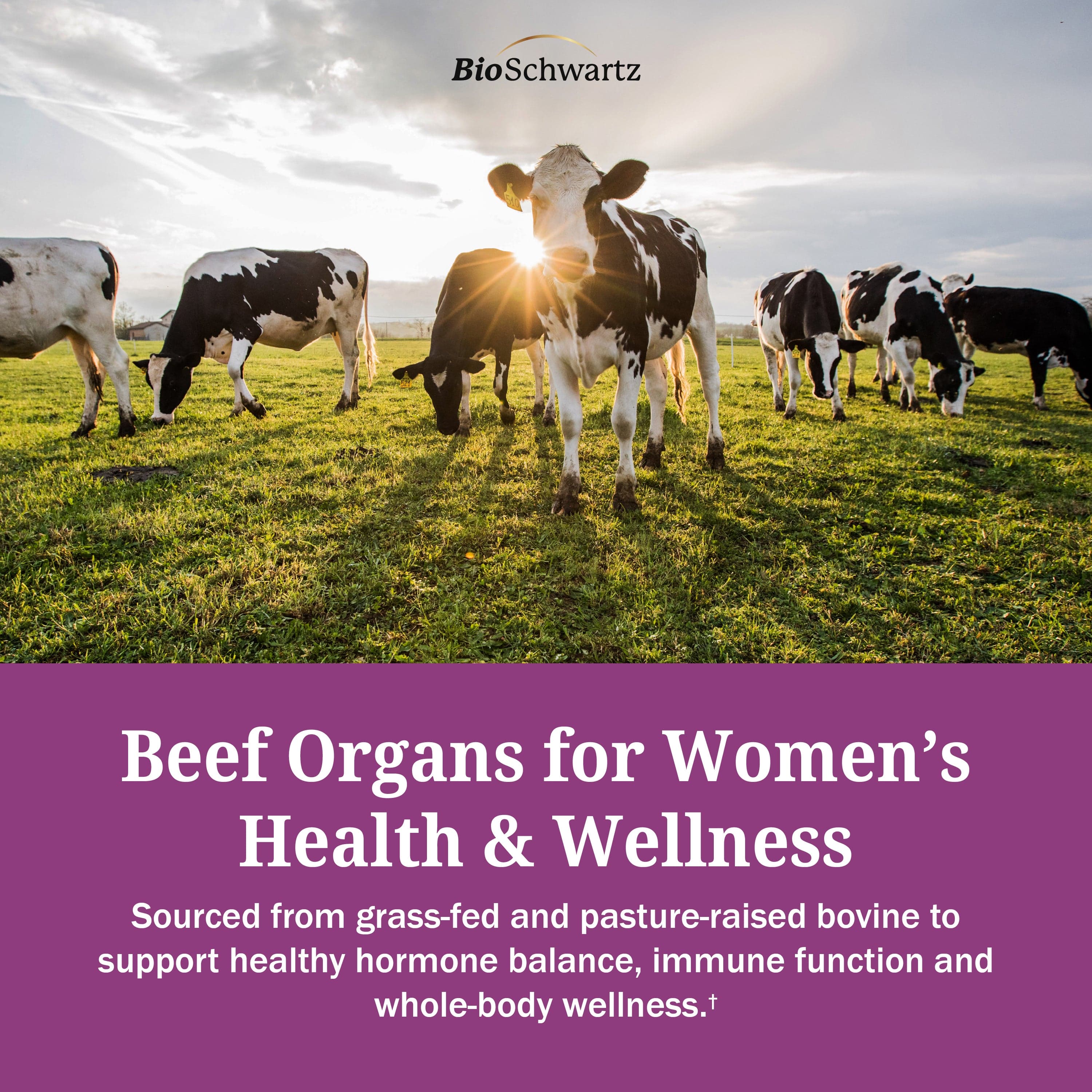 Beef Organs For Women, 60ct