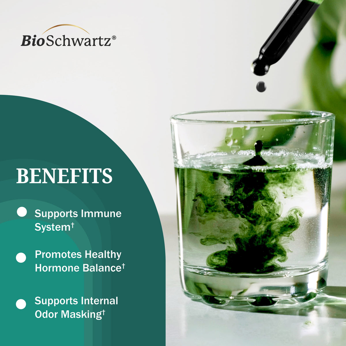Liquid Chlorophyll, Mint