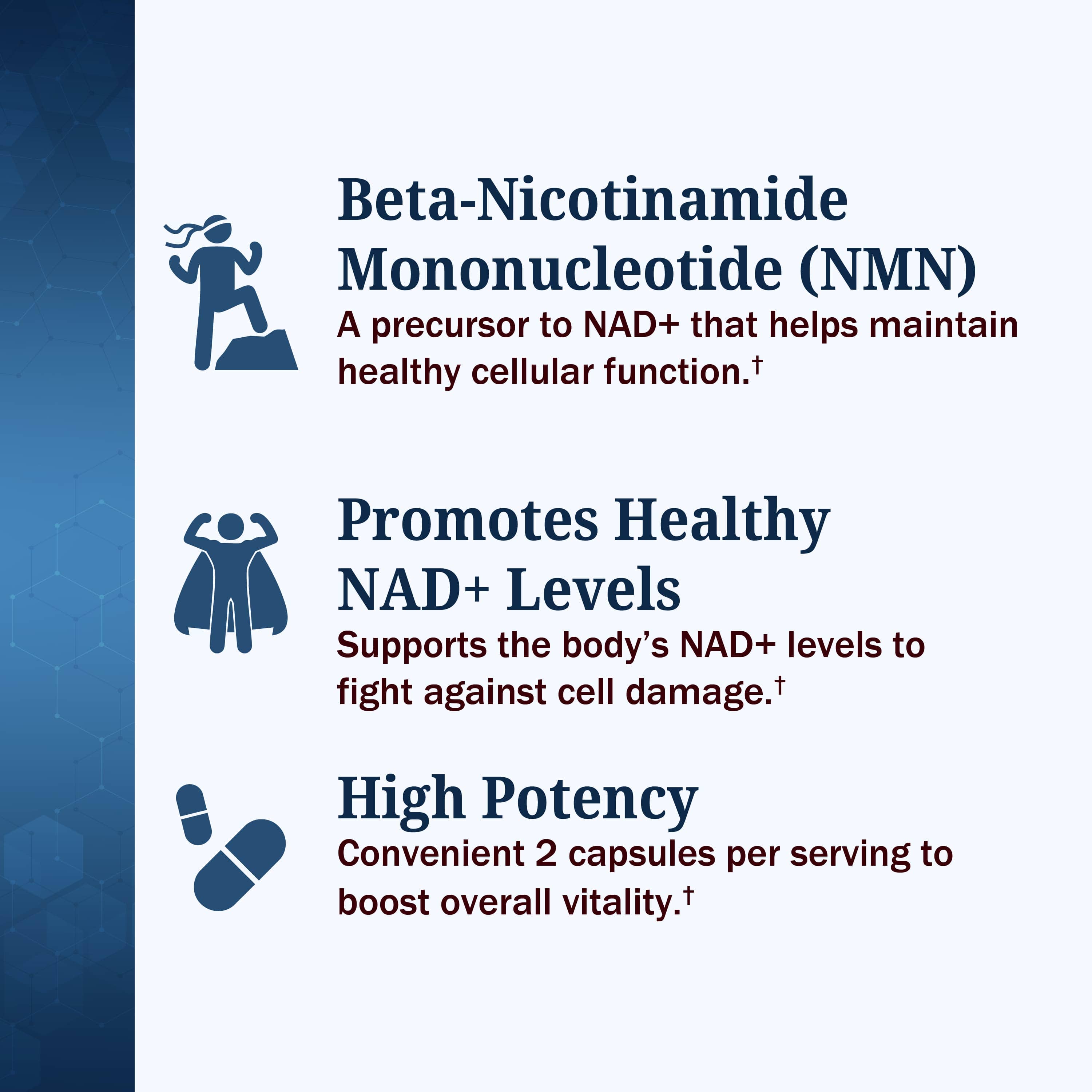NMN 500mg Capsules